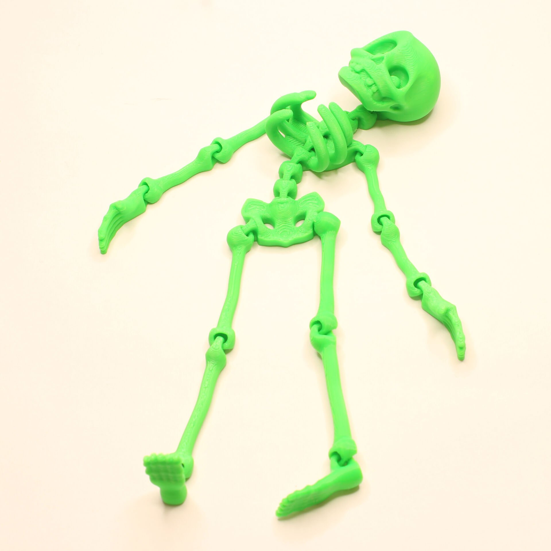 İSKELET ADAM FOSİL 3D HAREKETLİ MODEL YEŞİL